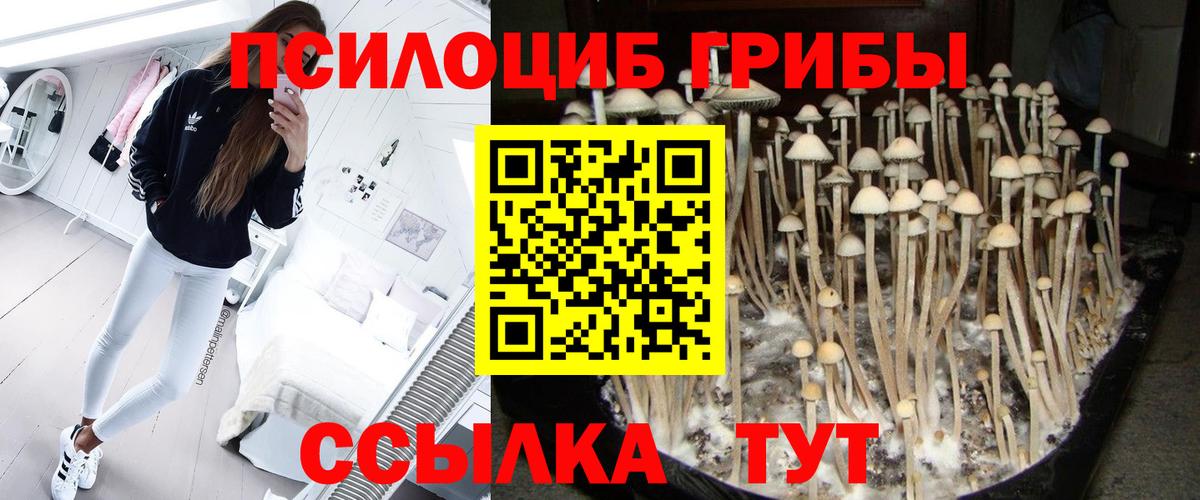 Псилоцибиновые грибы ЛСД  Вход с VPN  Амурск 